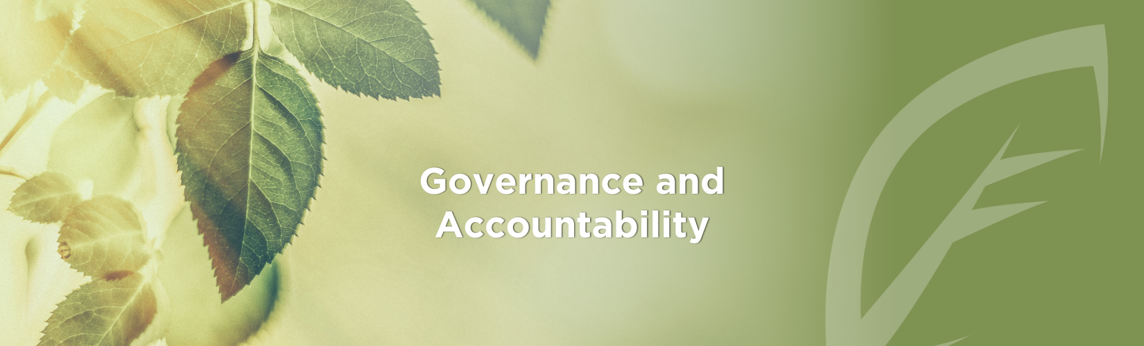 Governance & Accountability