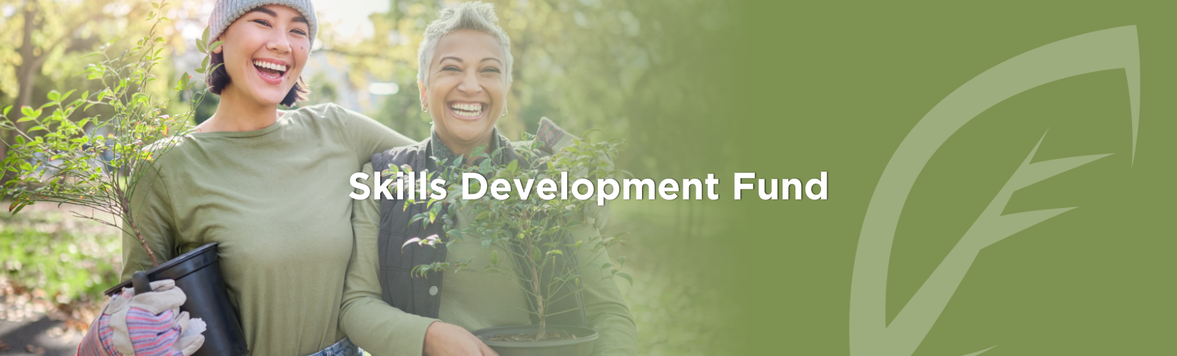 Skills Development Fund