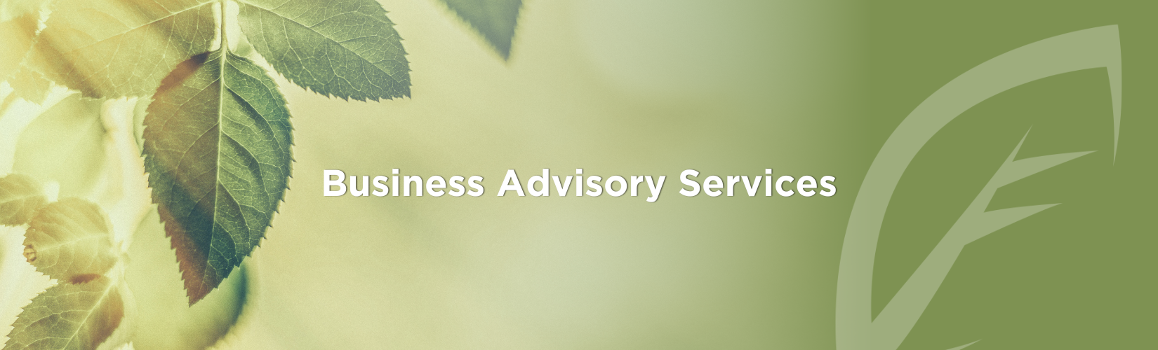 Business Advisory Services