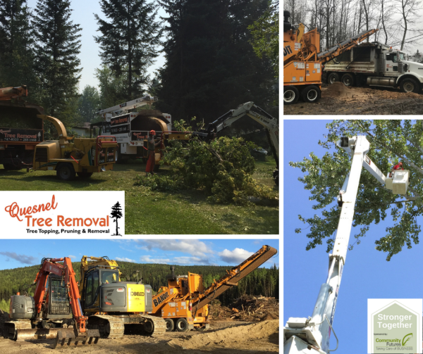 Quesnel Tree Removal